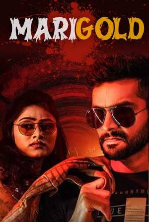 Download Marigold 2024 Hindi Dubbed WEB-DL 1080p 720p 480p HEVC